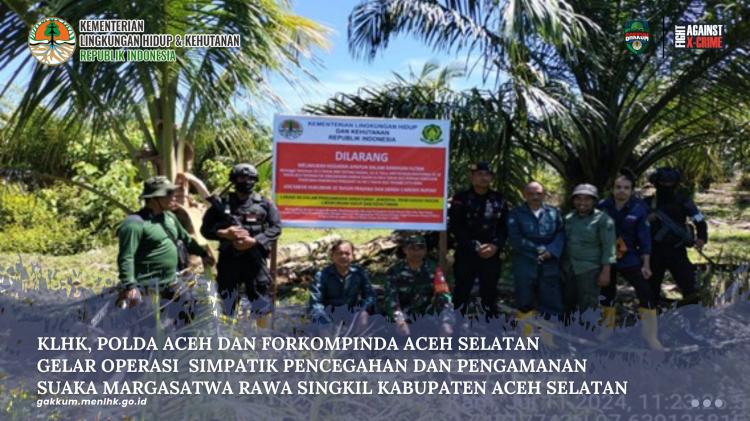 Aparat Turun Tangan, Begini Nasib Kebun Sawit Milik Rakyat di Kawasan SM Rawa Singkil