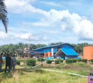 Harga TBS dan Brondolan di Sejumlah PKS di Riau Naik Hingga Rp 40/Kg