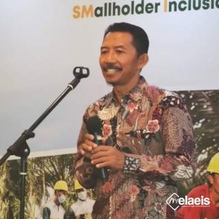 Genjot Realisasi PSR, Petani Sawit Minta Tata Ruang Dibenahi