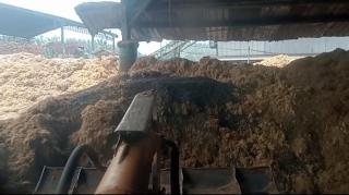 Sepekan Didominasi WD, Akhirnya Closing  Harga Palm Kernel Hasil Tender Astra Periode 4 Juli 2024