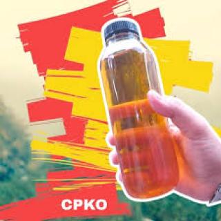Justru Naik Harga CPKO Hasil Tender PT KPBN Periode 9 Juli 2024