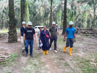 Melalui ILO, Amerika Serikat Jadikan Simalungun Sebagai Kiblat Sawit Dunia