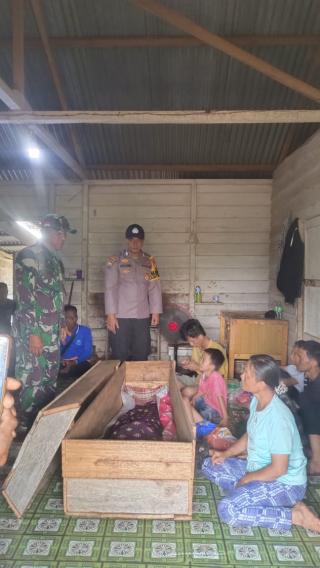 Diserang Harimau Saat Pipis, Kepala Pekerja Sawit Putus 