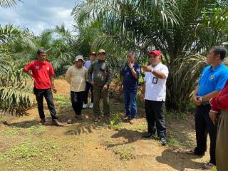 Pekebun di Seruyan Diminta Daftarkan Usaha Budidaya Lewat e-STDB, Dijamin Gratis