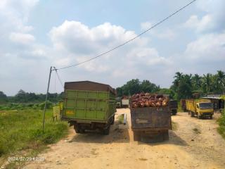 Serap Sawit Petani, Perusahaan dari Jambi Jalankan Ram di Riau