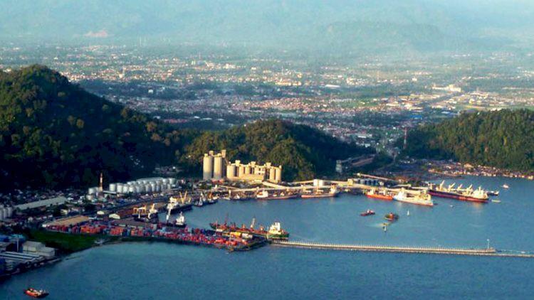 Ekspor Produk Turunan Sawit dari Sumbar Naik Signifikan di Juni 2024