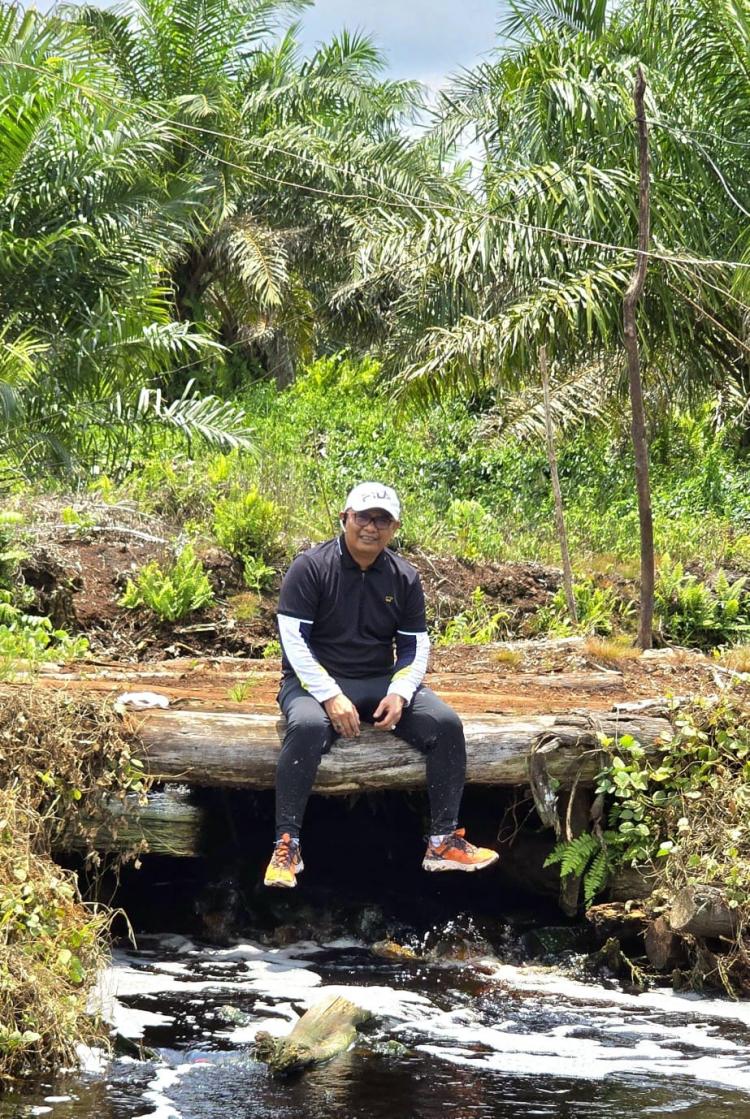 Riau Puncaki Harga TBS se-Indonesia, Siapa Terendah?