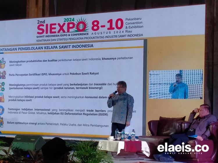 Begini Tantangan dan Peluang SAF Berbahan Baku Sawit di Indonesia