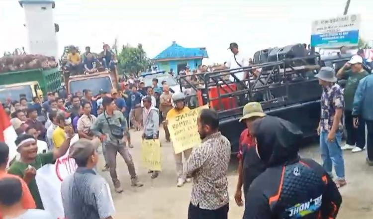 PT SLS Dikepung Massa, Petani dan Pengepul Beralih ke PKS Lain