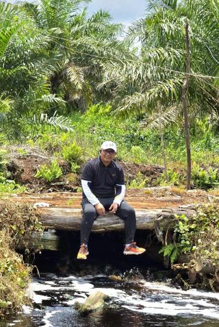 Riau Puncaki Harga TBS se-Indonesia, Siapa Terendah?