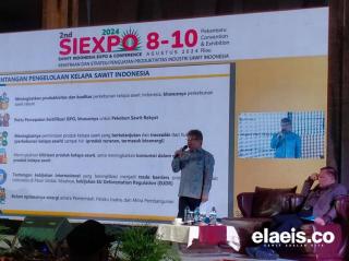 Begini Tantangan dan Peluang SAF Berbahan Baku Sawit di Indonesia