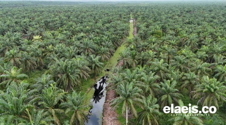 Sepenggal Cerita Kanal Tua