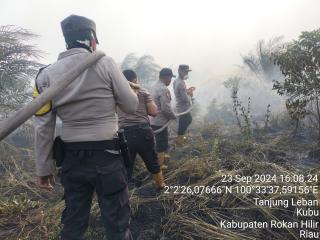 25 Hektar Kebun Sawit Warga Kubu Terbakar