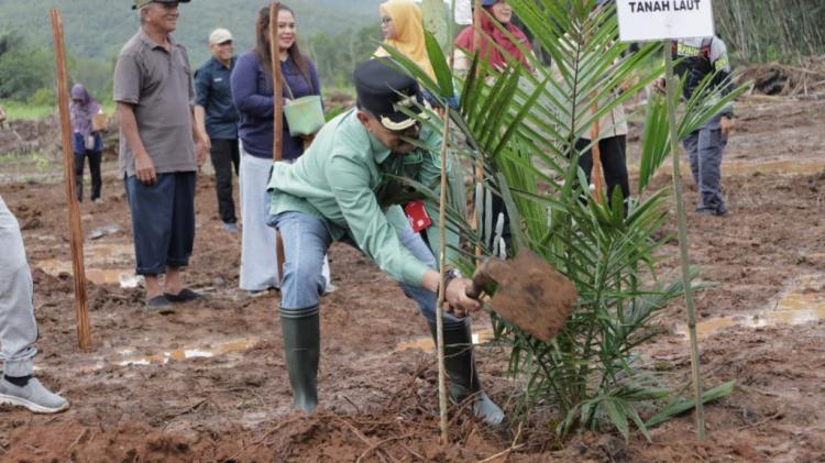Apkasindo Sambut Baik Penyederhanaan Syarat PSR, tapi...