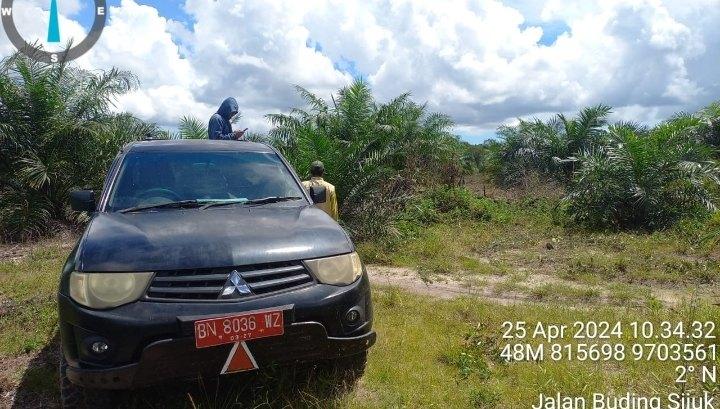 Pemutihan Sawit dalam Kawasan Hutan Rawan Jadi Ajang Korupsi 