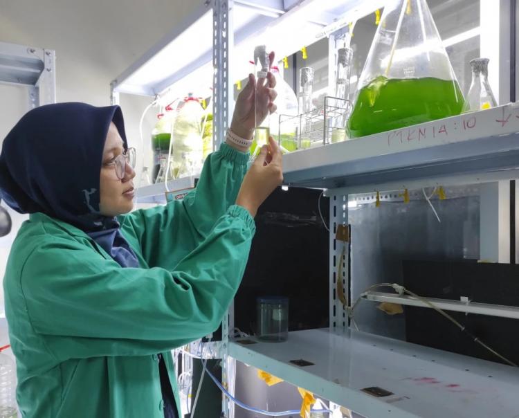 Olah Limbah Cair Sawit, Mahasiswa Doktoral UGM Raih Dana Riset dari Jepang