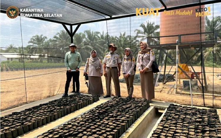 Pastikan Bebas OPTK, Karantina Sumsel Cek Kebun Produsen Benih Sawit