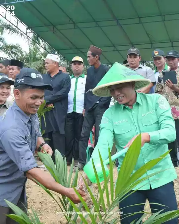 Ikut Program Peremajaan Sawit, Lahan KUD Sumber Rezeki Ditanam Perdana
