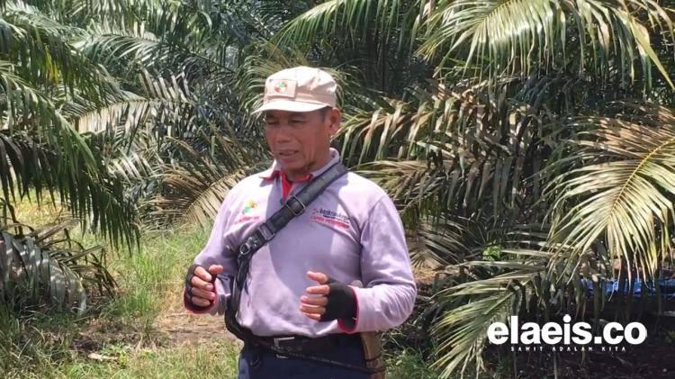 Dari Pekerja Serabutan Jadi Mengurusi Cuan