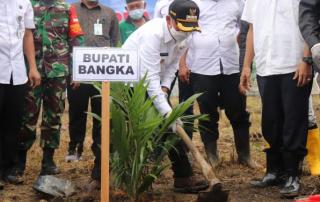 Susun RAD-KSB, Pemkab Bangka Himpun Masukan dari Stakeholder Sawit