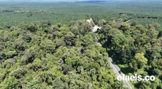 Bak Liukan Ular Raksasa di Lintas Utara Sumatera