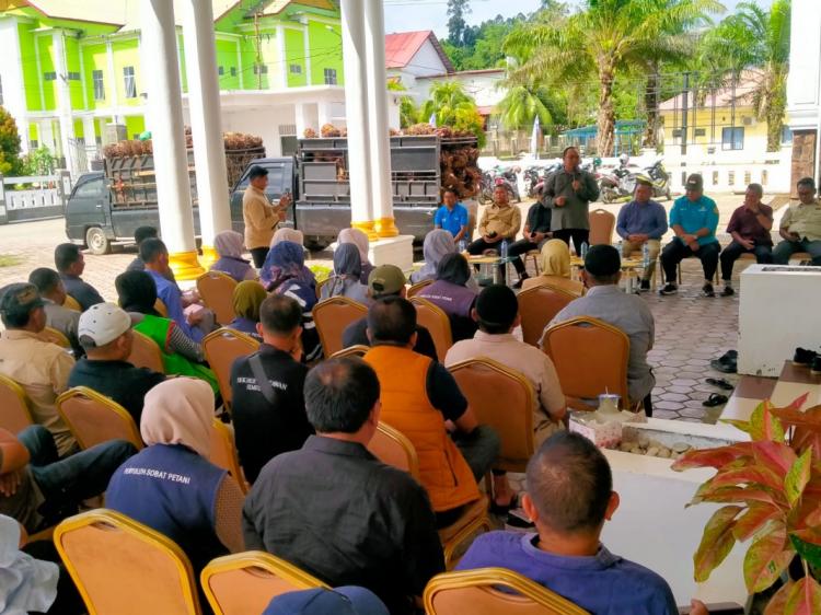 Perpendek Rantai Pasok, Sistem Penjualan Sawit Pemda Simeulue Diluncurkan