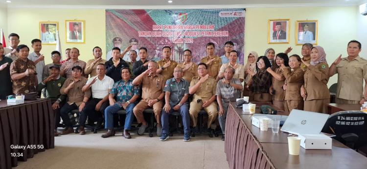 Terus Bergerak Naik, TBS Kalteng Periode I November 2024 Capai Rp 3.417,11/Kg