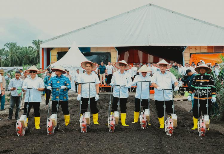 Luncurkan Program TAMPAN, PTPN IV Sasar Produksi Setengah Juta Ton Gabah