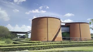 Pasang Baru Listrik PLN 1,1 Juta VA, Perusahaan Sawit ini Hemat Rp 450 Juta Sebulan