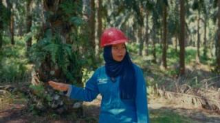 Beasiswa Sawit, Cara BPDPKS Cetak SDM Andalan