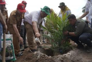 Kebun PSR Jalur Kemitraan di Silau Jawa Ditanam Perdana