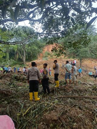 Longsor di Kebun Sawit, Dua Keluarga Tertimbun