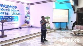 Dapat Duit dari Sawit Tak Harus Punya Kebun Sawit