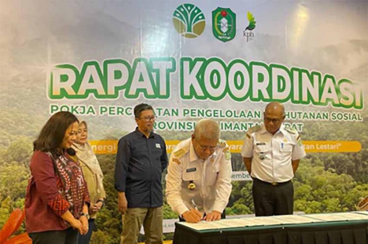 Gandeng Solidaridad, Kalbar Perkuat Komitmen Keberlanjutan Industri Kelapa Sawit