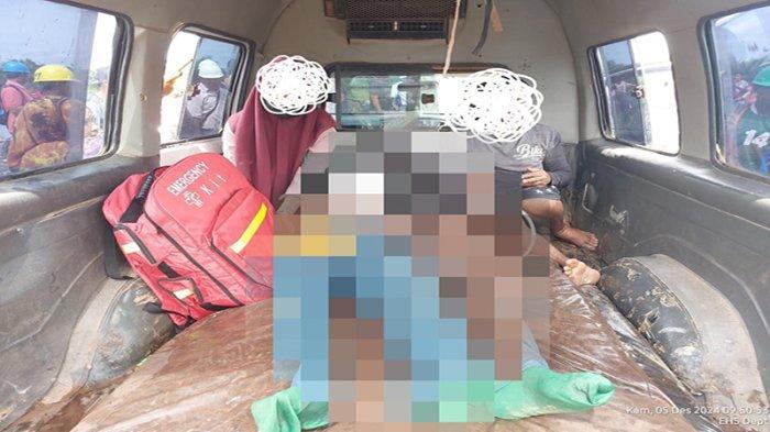 Pekerja Perempuan Diterkam Buaya Sepanjang 3 Meter di Kebun Sawit