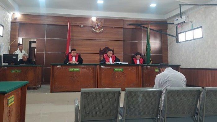 Gajah Mati di Kebun Sawit, Petani di Tebo di Vonis Penjara 1 Tahun 4 Bulan