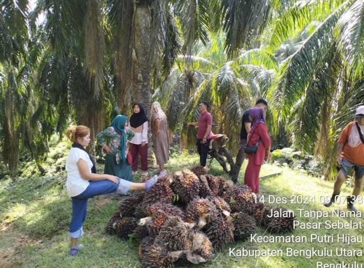 Karyawan PT Agricinal Alami Intimidasi, Operasional Perusahaan Terganggu