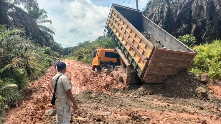 Musim Hujan, Petani Minta Pemerintah Perbaiki Jalur Distribusi Sawit di Kalteng