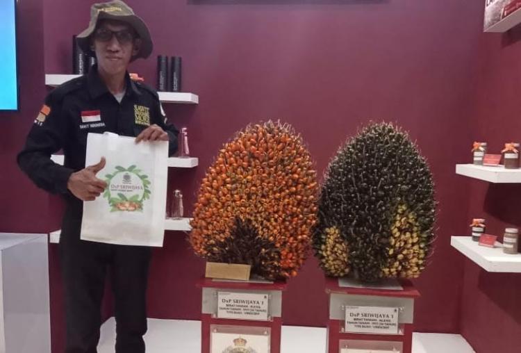 Petani Geram, Harga TBS Sawit di Sultra Paling Buncit Kedua Secara Nasional