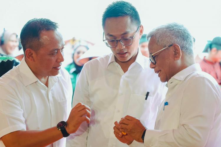 PTPN Rilis Varietas Sawit Hasil Kultur Jaringan dengan Potensi CPO Tinggi