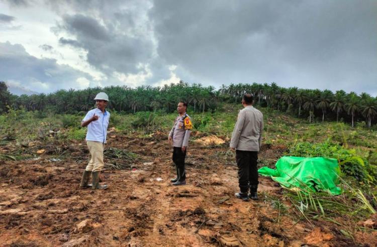 Ratusan Hektar Lahan PTPN IV Gunung Meliau Siap Ditanami Jagung oleh Polsek Meliau