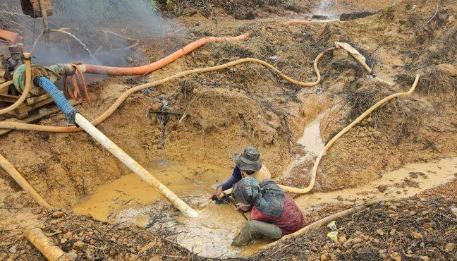 Dua Pemilik Tambang Ilegal di Kebun Sawit Diringkus