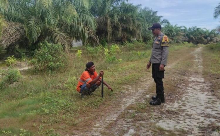 Permudah Terima Bantuan Pemerintah, Petani Sawit Diminta Urus STDB