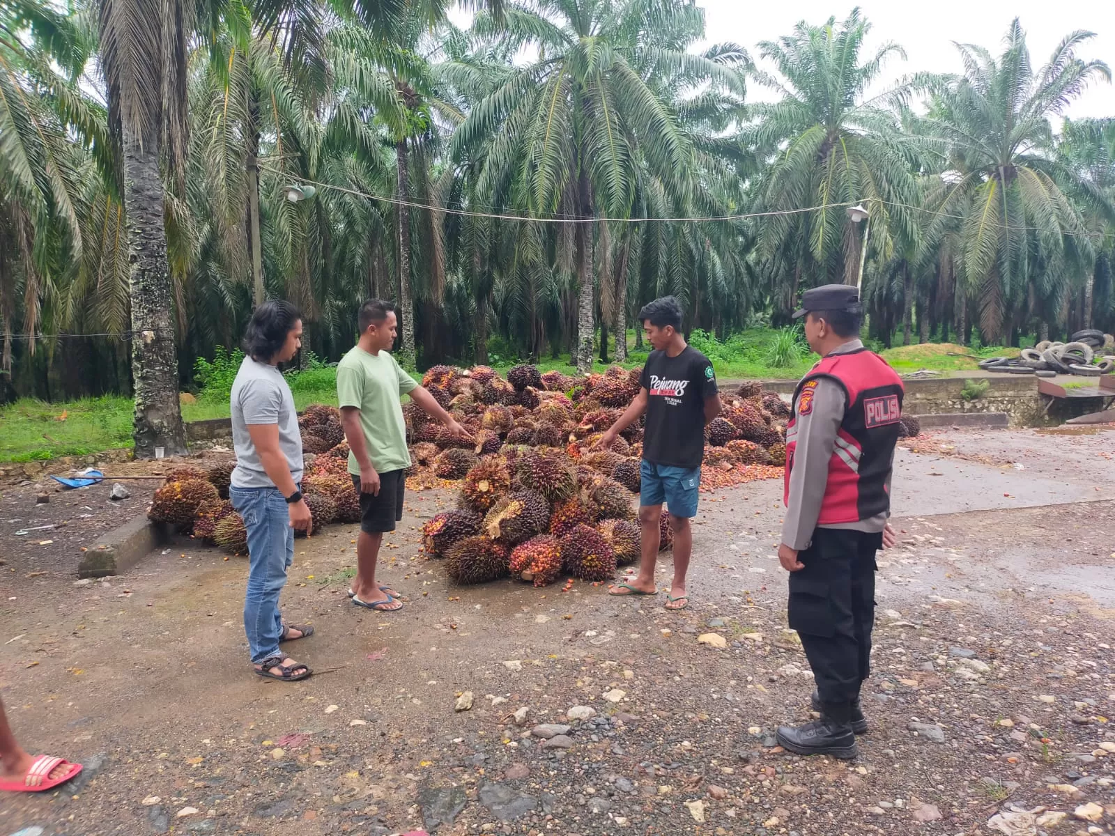 Dua Supir Truk Sawit Ditangkap, Gelapkan TBS Milik Perusahaan Pelat Merah