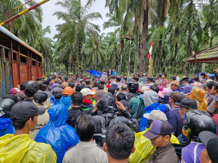 Ganggu Operasional Perusahaan, Ratusan Karyawan PT Agricinal Usir Paksa FMBP