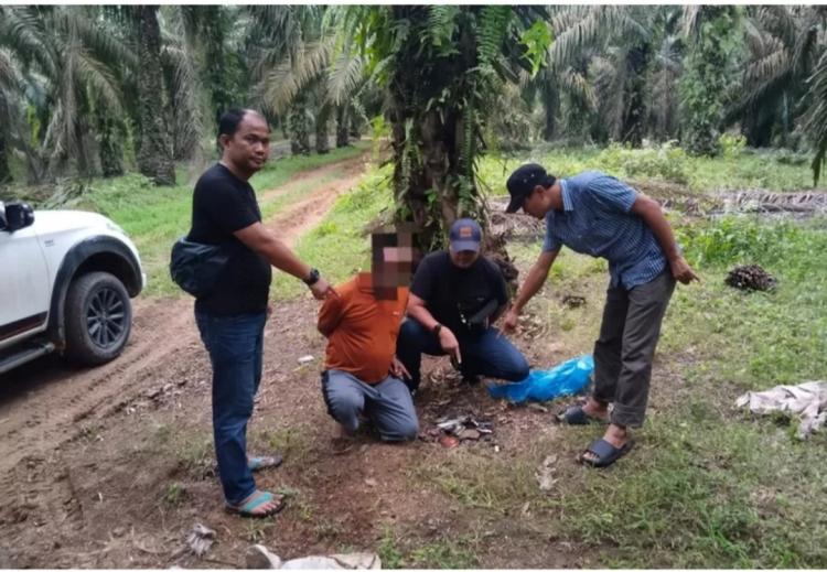 Buron 16 Hari, Pelaku Pembunuhan Sadis di Kebun Sawit di Riau Dibekuk di Sumut