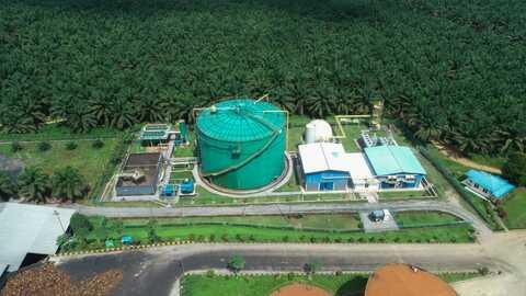 Yakin Laba Bakal Melonjak 80%, Perusahaan Sawit ini Belanjakan Modal Rp 700 Miliar