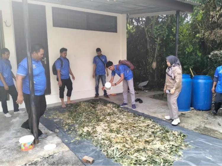 Limbah Sawit Jamin Ketersediaan Pakan Kerbau di Kabupaten Kampar
