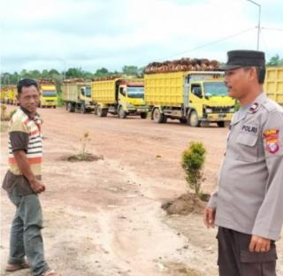 Naik Lagi, Harga TBS Sawit Kalteng Periode II-November 2024 Dibanderol Rp 3.484,68/Kg