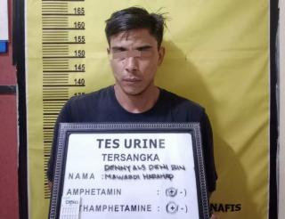 Pria ini Mencuri 104 Tandan Sawit, Ditengarai Ketagihan Nyabu